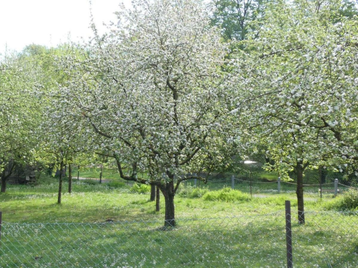 Trendelburg Landhaus Hillebrand מראה חיצוני תמונה